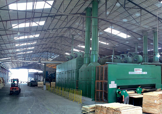 Sai IT Services & Developers Services